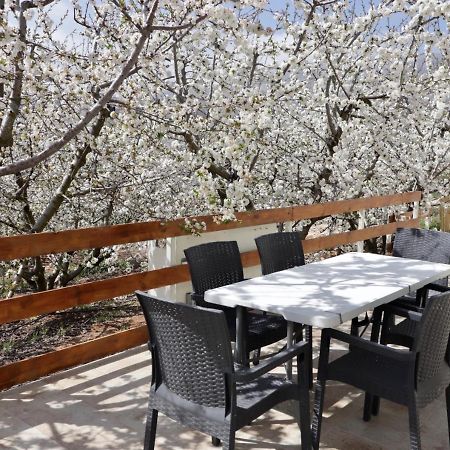 Oriental Nature Majdal Shams Εξωτερικό φωτογραφία