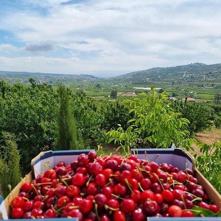 Oriental Nature Majdal Shams Εξωτερικό φωτογραφία