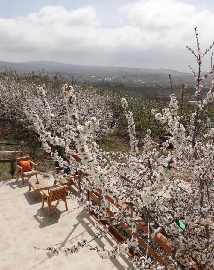 Oriental Nature Majdal Shams Εξωτερικό φωτογραφία