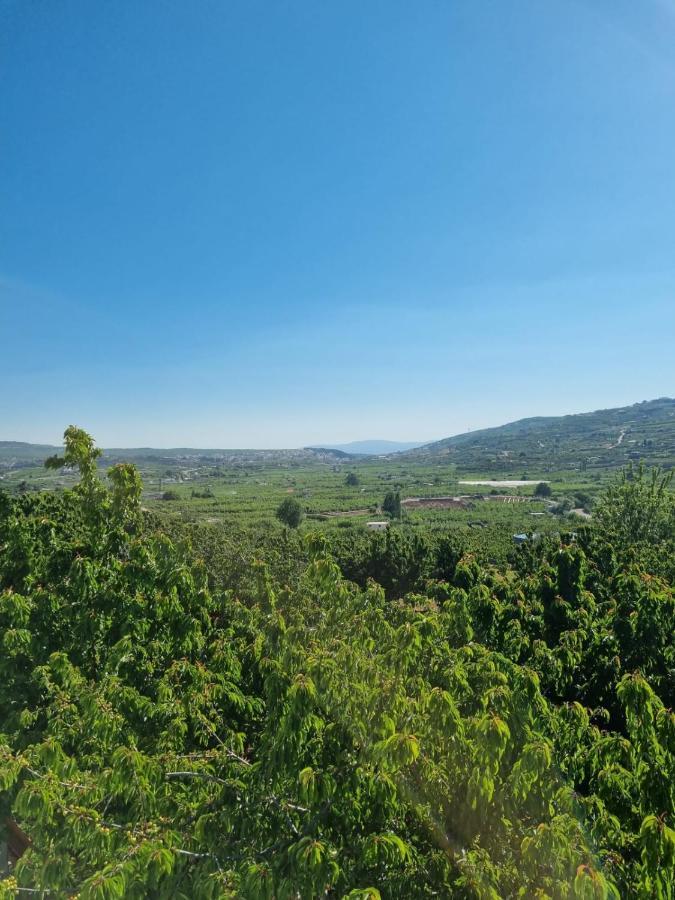 Oriental Nature Majdal Shams Εξωτερικό φωτογραφία