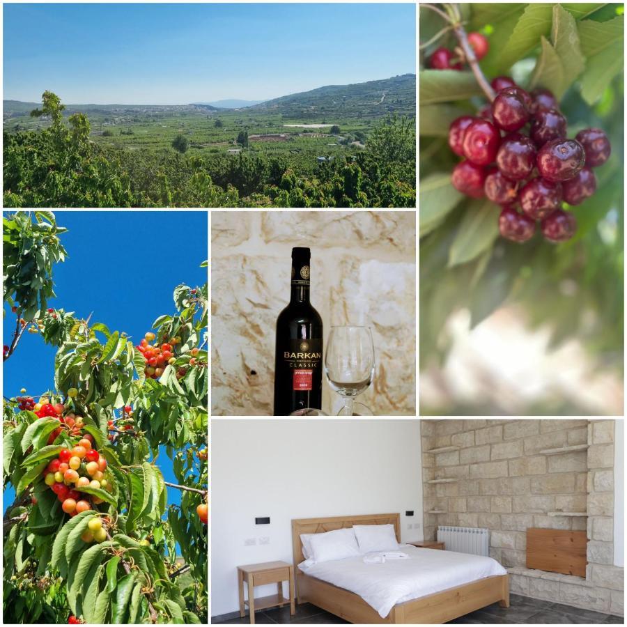 Oriental Nature Majdal Shams Εξωτερικό φωτογραφία