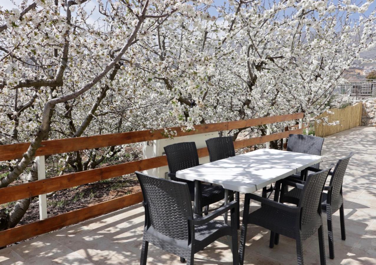 Oriental Nature Majdal Shams Εξωτερικό φωτογραφία