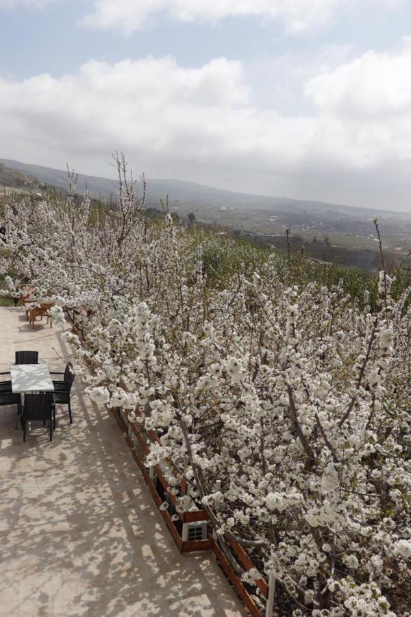 Oriental Nature Majdal Shams Εξωτερικό φωτογραφία