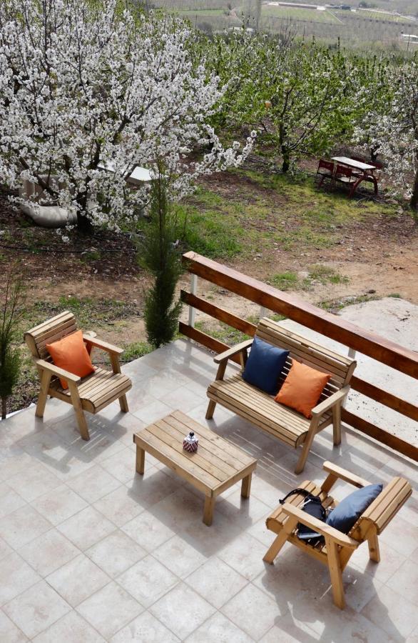 Oriental Nature Majdal Shams Εξωτερικό φωτογραφία