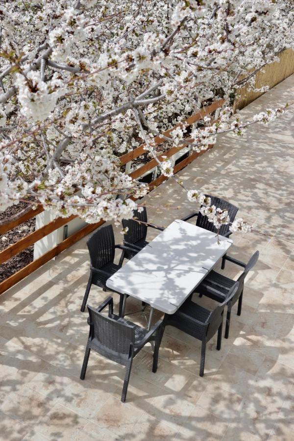 Oriental Nature Majdal Shams Εξωτερικό φωτογραφία