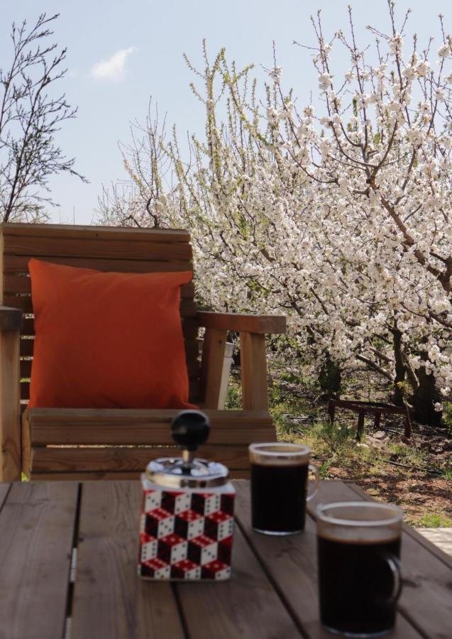 Oriental Nature Majdal Shams Εξωτερικό φωτογραφία